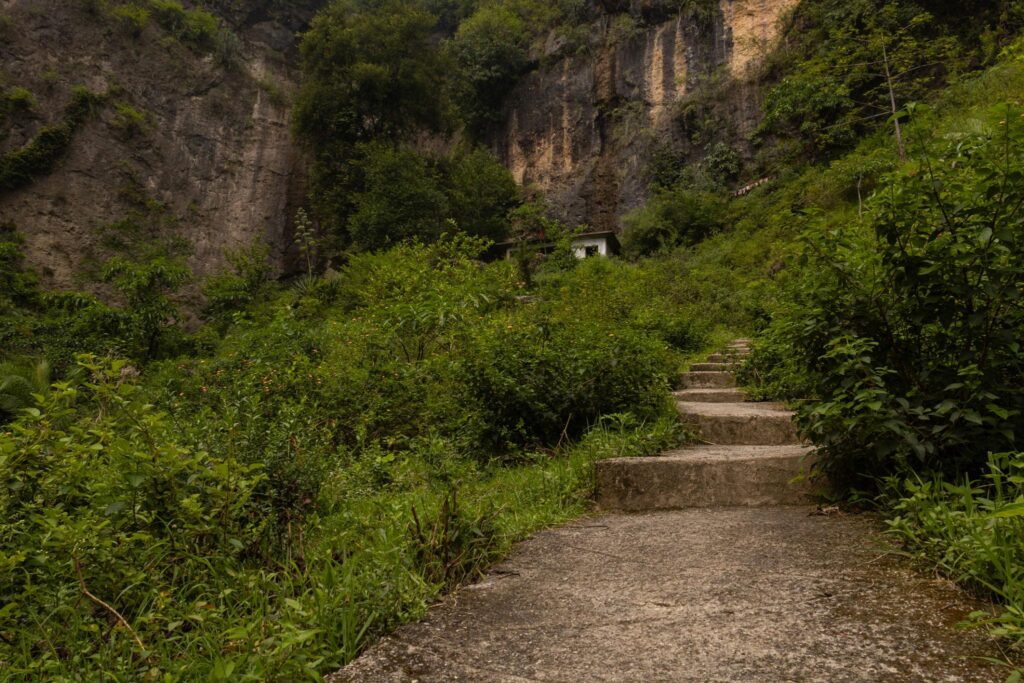 Shivrajpur Forest Trail