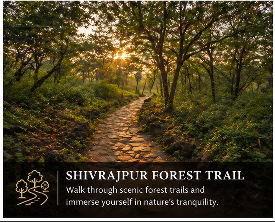 Shivrajpur Forest Trail